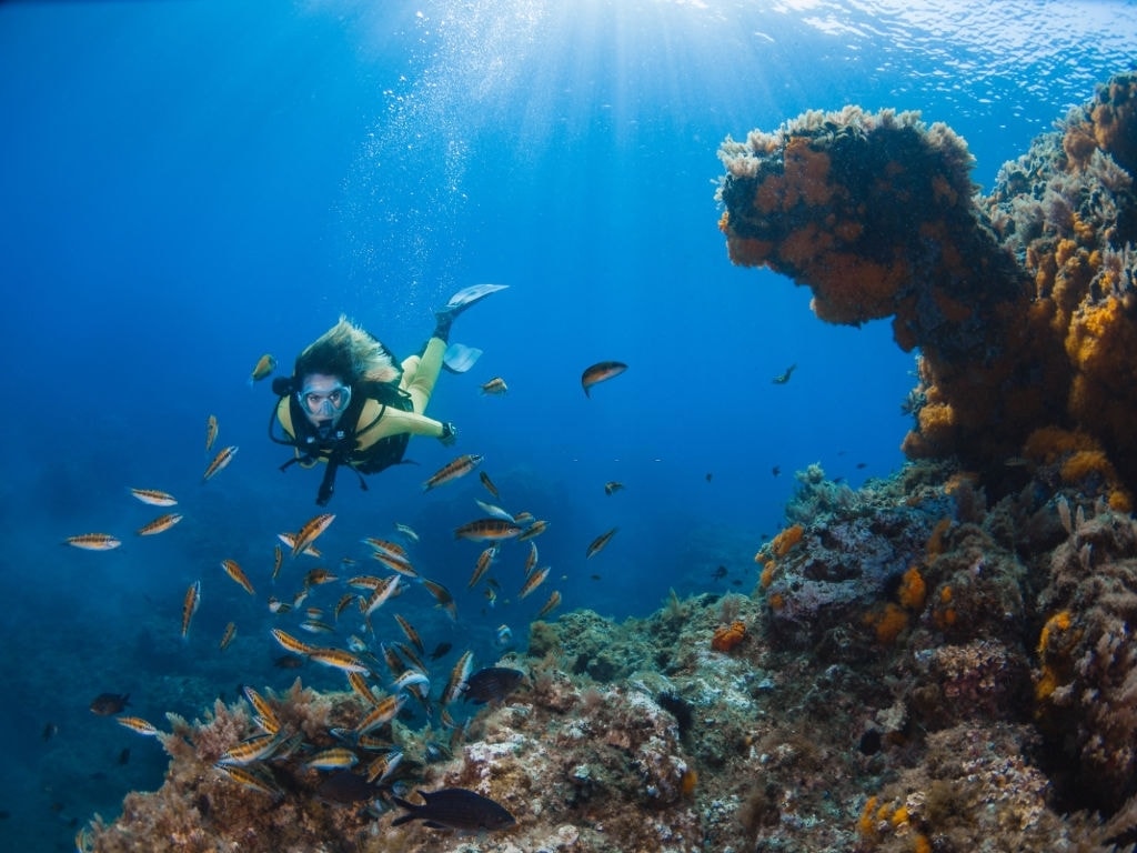 Buceo Bautismo