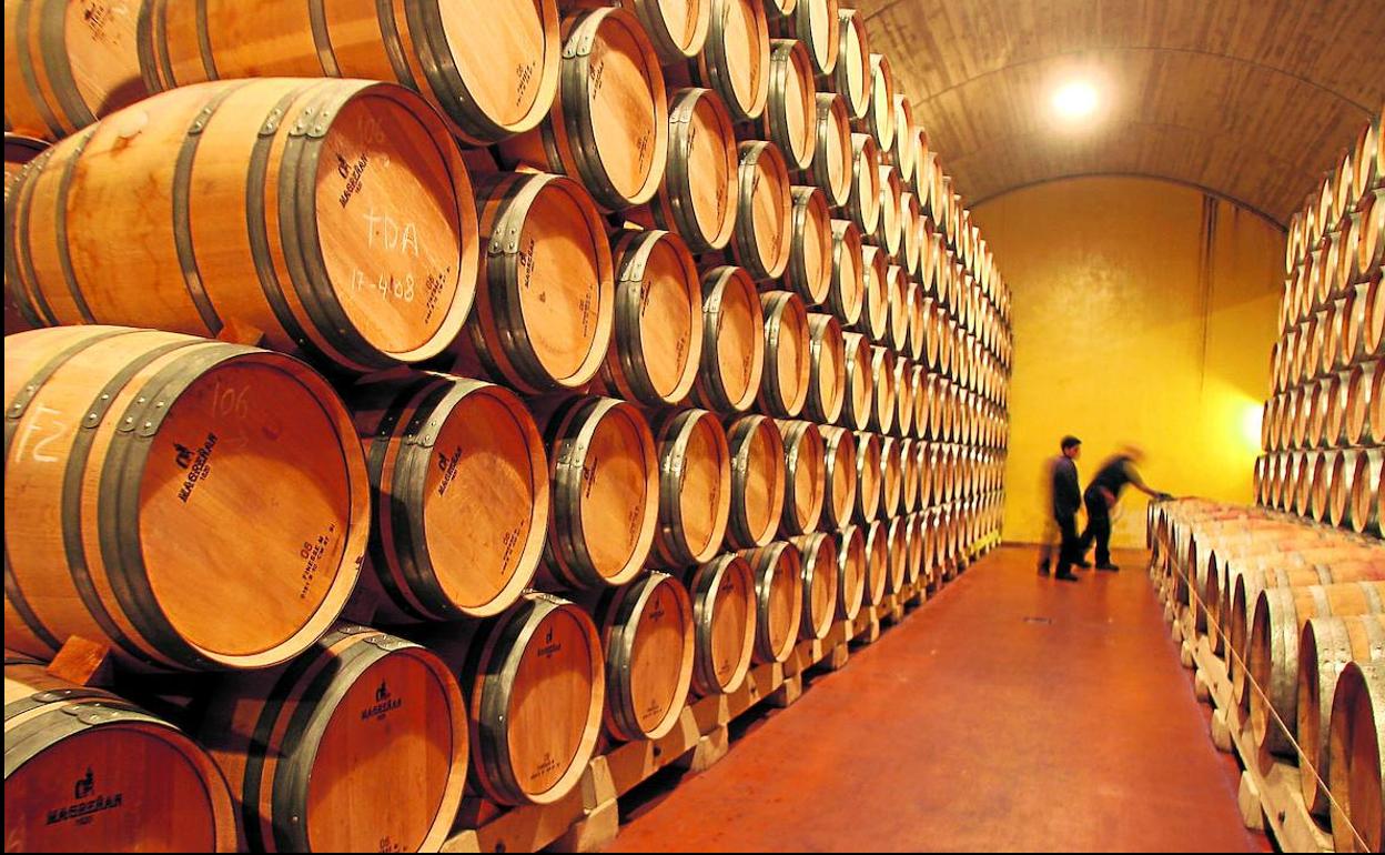 Visita y Cata en una bodega  bajo el Tajo de Ronda