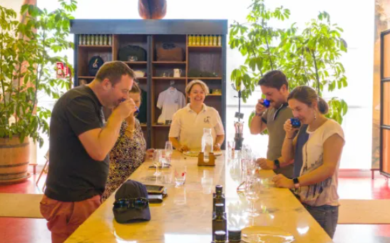 Visita guiada & Cata de aceite de oliva 