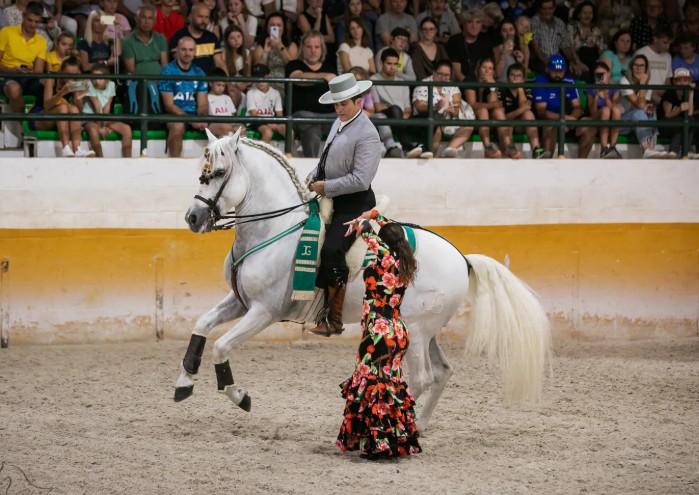 Andalusian Night by El Ranchito