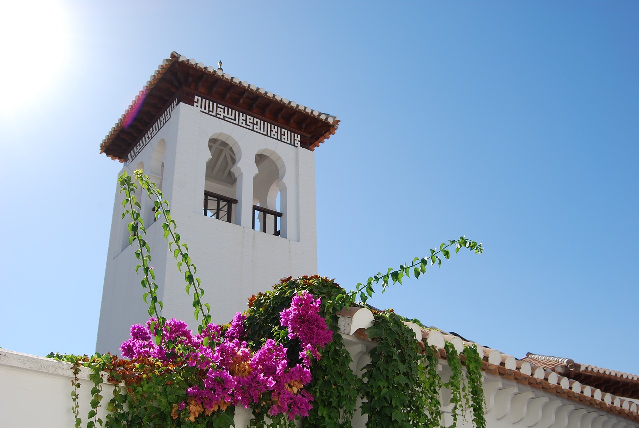 Albaicín con Ojos de Mujer ( Granada )